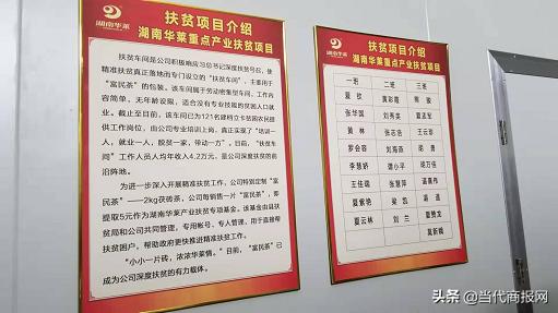 茶马古道湘 黑茶奔小康