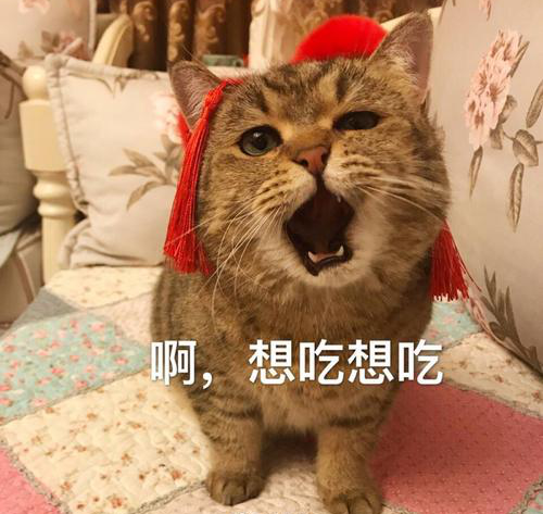 crop,h_473,w_500,x_0,y_25